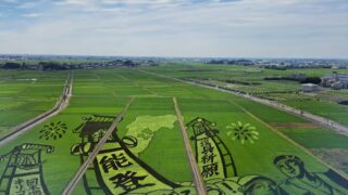 田んぼアート